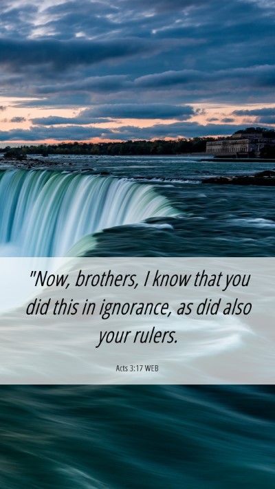 Picture 06 - Acts 3:17 WEB Mobile Phone Wallpaper - 
