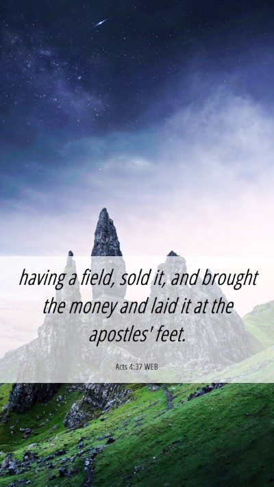 Picture 06 - Acts 4:37 WEB Mobile Phone Wallpaper - having a field, sold it, and brought the money - Mobile Bible Verse Wallpaper