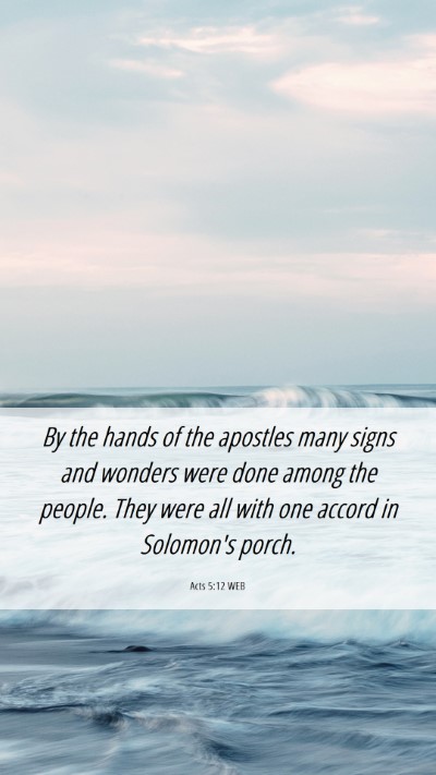 Picture 06 - Acts 5:12 WEB Mobile Phone Wallpaper - By the hands of the apostles many signs and - Mobile Bible Verse Wallpaper