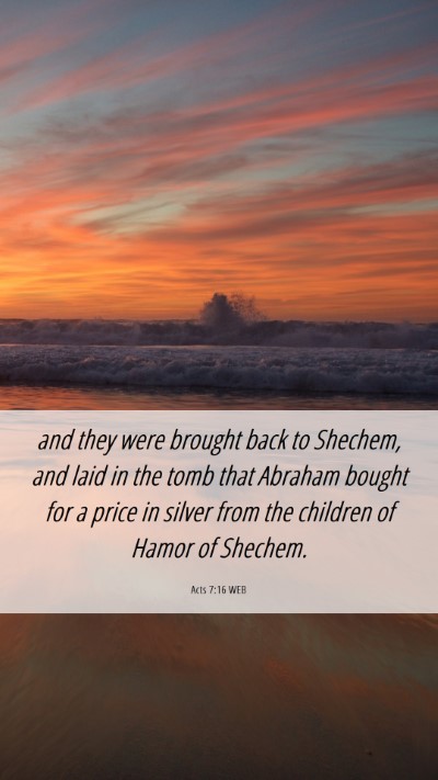Picture 06 - Acts 7:16 WEB Mobile Phone Wallpaper - and they were brought back to Shechem, and laid - Mobile Bible Verse Wallpaper