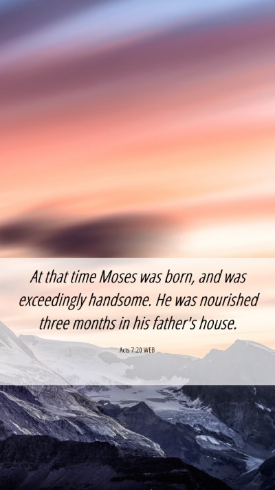 Picture 06 - Acts 7:20 WEB Mobile Phone Wallpaper - At that time Moses was born, and was exceedingly - Mobile Bible Verse Wallpaper