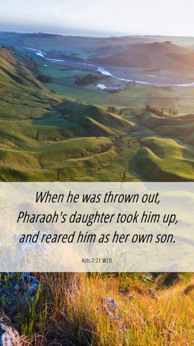 Picture 06 - Acts 7:21 WEB Mobile Phone Wallpaper - When he was thrown out, Pharaoh's daughter took - Mobile Bible Verse Wallpaper