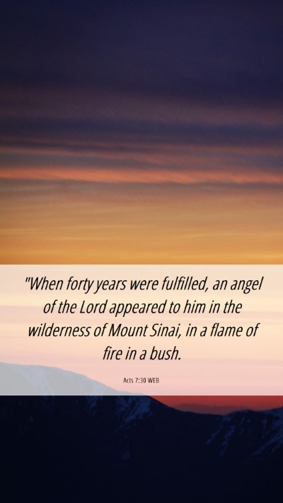 Picture 06 - Acts 7:30 WEB Mobile Phone Wallpaper - 
