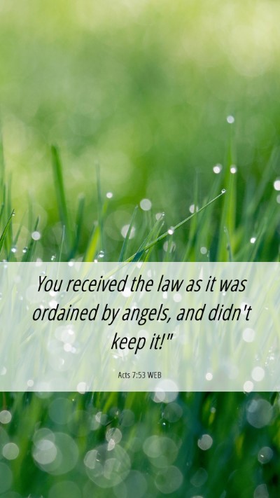 Picture 06 - Acts 7:53 WEB Mobile Phone Wallpaper - You received the law as it was ordained by - Mobile Bible Verse Wallpaper