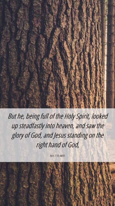 Picture 06 - Acts 7:55 WEB Mobile Phone Wallpaper - But he, being full of the Holy Spirit, looked up - Mobile Bible Verse Wallpaper