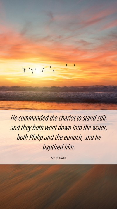 Picture 06 - Acts 8:38 WEB Mobile Phone Wallpaper - He commanded the chariot to stand still, and they - Mobile Bible Verse Wallpaper