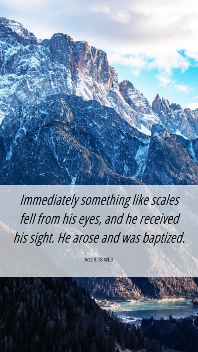 Picture 06 - Acts 9:18 WEB Mobile Phone Wallpaper - Immediately something like scales fell from his - Mobile Bible Verse Wallpaper