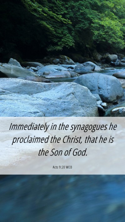 Picture 06 - Acts 9:20 WEB Mobile Phone Wallpaper - Immediately in the synagogues he proclaimed the - Mobile Bible Verse Wallpaper