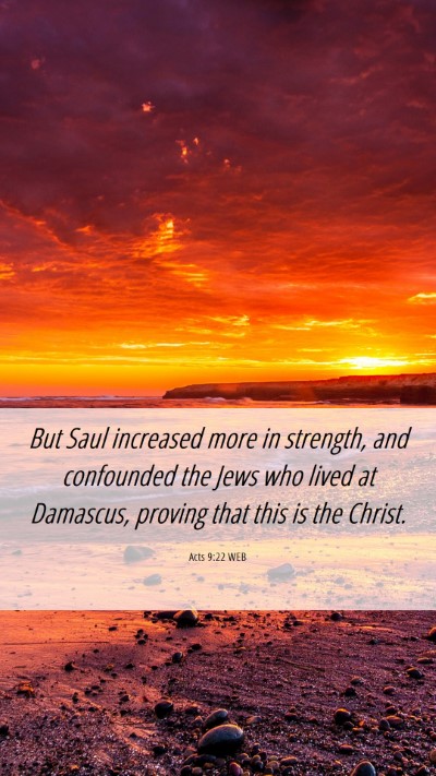 Picture 06 - Acts 9:22 WEB Mobile Phone Wallpaper - But Saul increased more in strength, and - Mobile Bible Verse Wallpaper