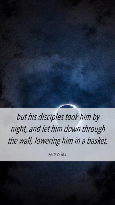 Picture 06 - Acts 9:25 WEB Mobile Phone Wallpaper - but his disciples took him by night, and let him - Mobile Bible Verse Wallpaper