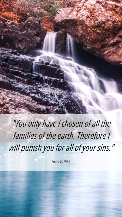 Picture 06 - Amos 3:2 WEB Mobile Phone Wallpaper - 