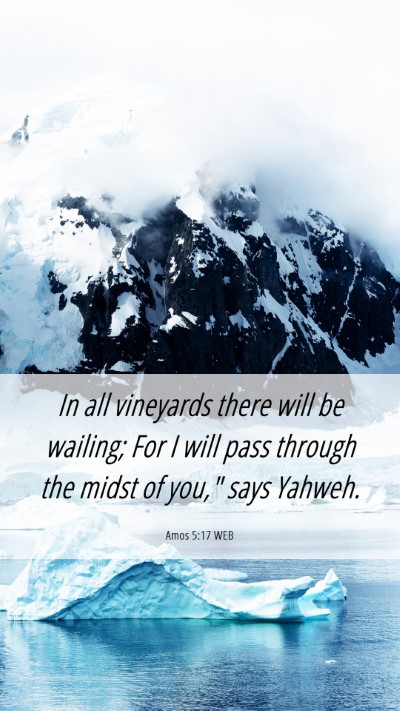 Picture 06 - Amos 5:17 WEB Mobile Phone Wallpaper - In all vineyards there will be wailing; For I - Mobile Bible Verse Wallpaper
