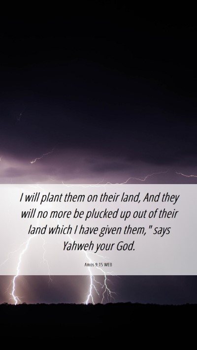 Picture 06 - Amos 9:15 WEB Mobile Phone Wallpaper - I will plant them on their land, And they will no - Mobile Bible Verse Wallpaper