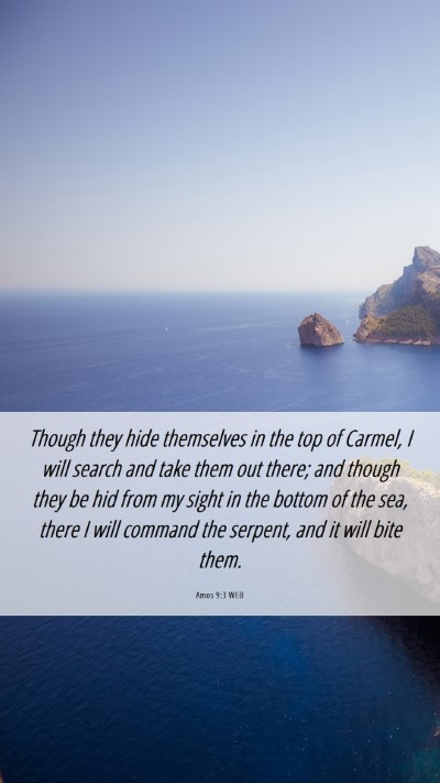 Picture 06 - Amos 9:3 WEB Mobile Phone Wallpaper - Though they hide themselves in the top of Carmel, - Mobile Bible Verse Wallpaper