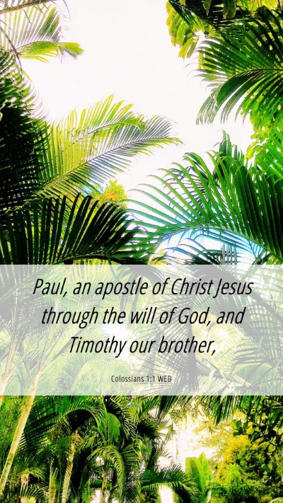 Picture 06 - Colossians 1:1 WEB Mobile Phone Wallpaper - Paul, an apostle of Christ Jesus through the will - Mobile Bible Verse Wallpaper