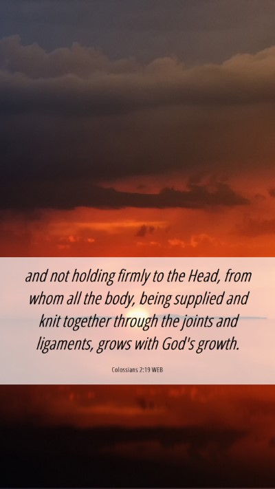 Picture 06 - Colossians 2:19 WEB Mobile Phone Wallpaper - and not holding firmly to the Head, from whom all - Mobile Bible Verse Wallpaper