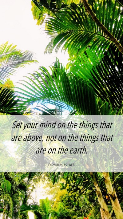 Picture 06 - Colossians 3:2 WEB Mobile Phone Wallpaper - Set your mind on the things that are above, not - Mobile Bible Verse Wallpaper