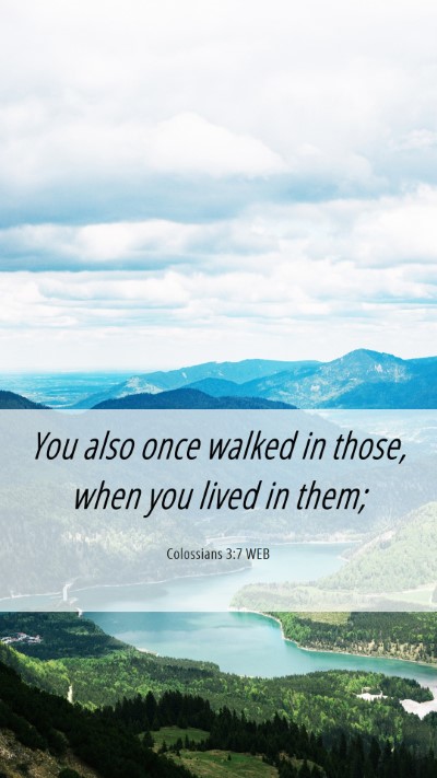 Picture 06 - Colossians 3:7 WEB Mobile Phone Wallpaper - You also once walked in those, when you lived in - Mobile Bible Verse Wallpaper