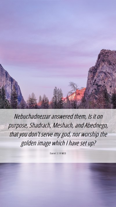 Picture 06 - Daniel 3:14 WEB Mobile Phone Wallpaper - Nebuchadnezzar answered them, Is it on purpose, - Mobile Bible Verse Wallpaper