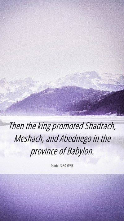 Picture 06 - Daniel 3:30 WEB Mobile Phone Wallpaper - Then the king promoted Shadrach, Meshach, and - Mobile Bible Verse Wallpaper