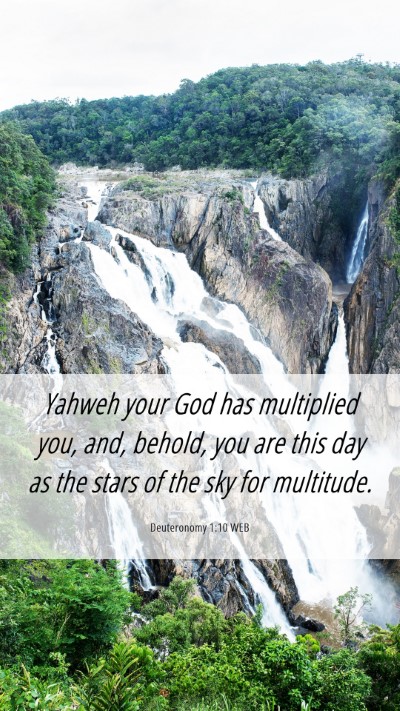 Picture 06 - Deuteronomy 1:10 WEB Mobile Phone Wallpaper - Yahweh your God has multiplied you, and, behold, - Mobile Bible Verse Wallpaper