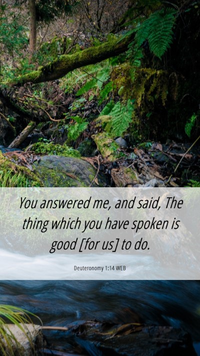 Picture 06 - Deuteronomy 1:14 WEB Mobile Phone Wallpaper - You answered me, and said, The thing which you - Mobile Bible Verse Wallpaper