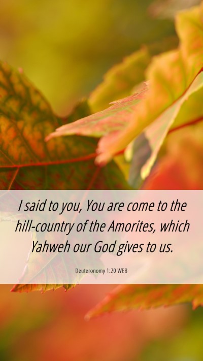 Picture 06 - Deuteronomy 1:20 WEB Mobile Phone Wallpaper - I said to you, You are come to the hill-country - Mobile Bible Verse Wallpaper