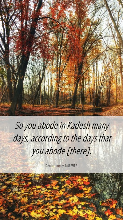 Picture 06 - Deuteronomy 1:46 WEB Mobile Phone Wallpaper - So you abode in Kadesh many days, according to - Mobile Bible Verse Wallpaper