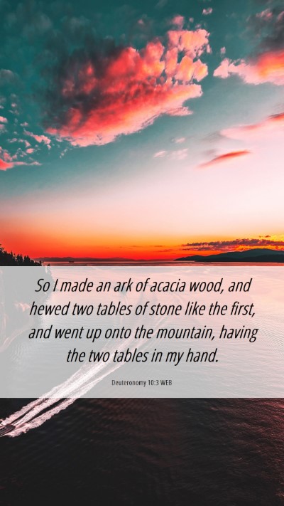 Picture 06 - Deuteronomy 10:3 WEB Mobile Phone Wallpaper - So I made an ark of acacia wood, and hewed two - Mobile Bible Verse Wallpaper