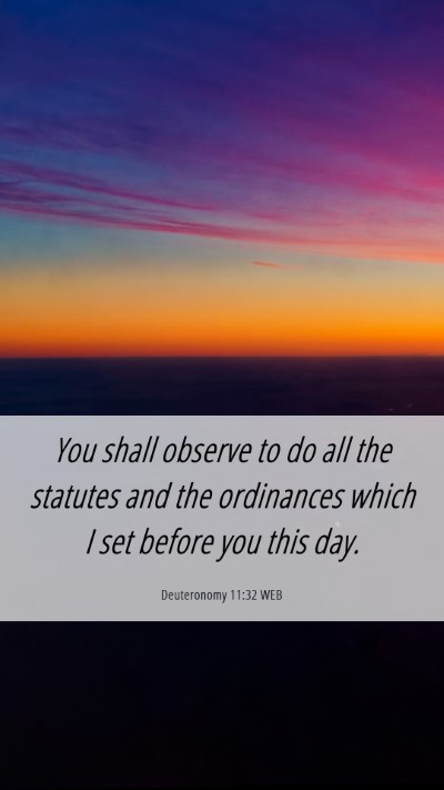 Picture 06 - Deuteronomy 11:32 WEB Mobile Phone Wallpaper - You shall observe to do all the statutes and the - Mobile Bible Verse Wallpaper