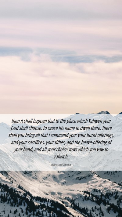 Picture 06 - Deuteronomy 12:11 WEB Mobile Phone Wallpaper - then it shall happen that to the place which - Mobile Bible Verse Wallpaper