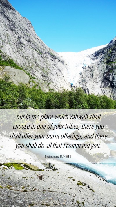 Picture 06 - Deuteronomy 12:14 WEB Mobile Phone Wallpaper - but in the place which Yahweh shall choose in one - Mobile Bible Verse Wallpaper
