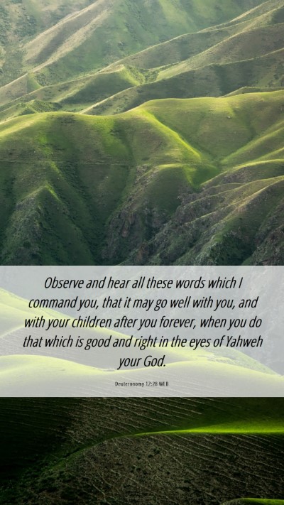 Picture 06 - Deuteronomy 12:28 WEB Mobile Phone Wallpaper - Observe and hear all these words which I command - Mobile Bible Verse Wallpaper