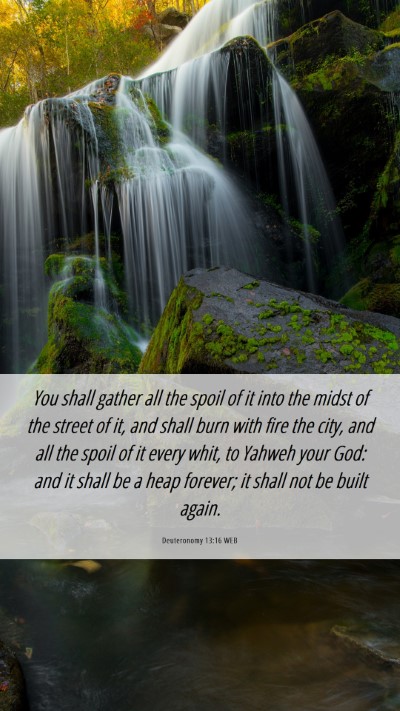Picture 06 - Deuteronomy 13:16 WEB Mobile Phone Wallpaper - You shall gather all the spoil of it into the - Mobile Bible Verse Wallpaper