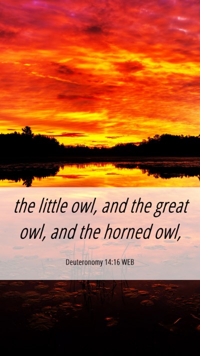 Picture 06 - Deuteronomy 14:16 WEB Mobile Phone Wallpaper - the little owl, and the great owl, and the horned - Mobile Bible Verse Wallpaper
