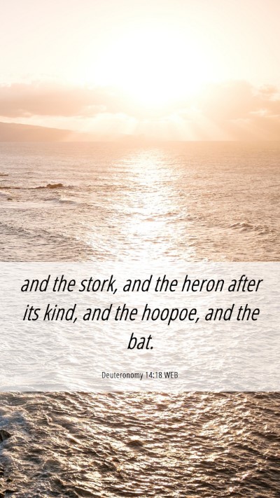 Picture 06 - Deuteronomy 14:18 WEB Mobile Phone Wallpaper - and the stork, and the heron after its kind, and - Mobile Bible Verse Wallpaper