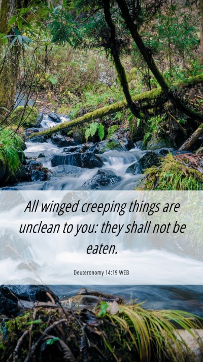 Picture 06 - Deuteronomy 14:19 WEB Mobile Phone Wallpaper - All winged creeping things are unclean to you: - Mobile Bible Verse Wallpaper