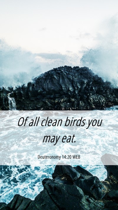 Picture 06 - Deuteronomy 14:20 WEB Mobile Phone Wallpaper - Of all clean birds you may - Mobile Bible Verse Wallpaper