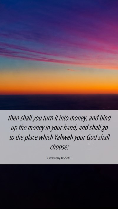 Picture 06 - Deuteronomy 14:25 WEB Mobile Phone Wallpaper - then shall you turn it into money, and bind up - Mobile Bible Verse Wallpaper