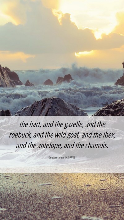 Picture 06 - Deuteronomy 14:5 WEB Mobile Phone Wallpaper - the hart, and the gazelle, and the roebuck, and - Mobile Bible Verse Wallpaper