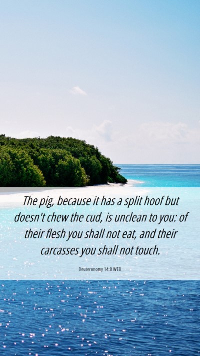 Picture 06 - Deuteronomy 14:8 WEB Mobile Phone Wallpaper - The pig, because it has a split hoof but doesn't - Mobile Bible Verse Wallpaper