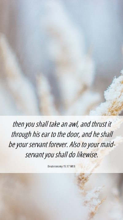 Picture 06 - Deuteronomy 15:17 WEB Mobile Phone Wallpaper - then you shall take an awl, and thrust it through - Mobile Bible Verse Wallpaper