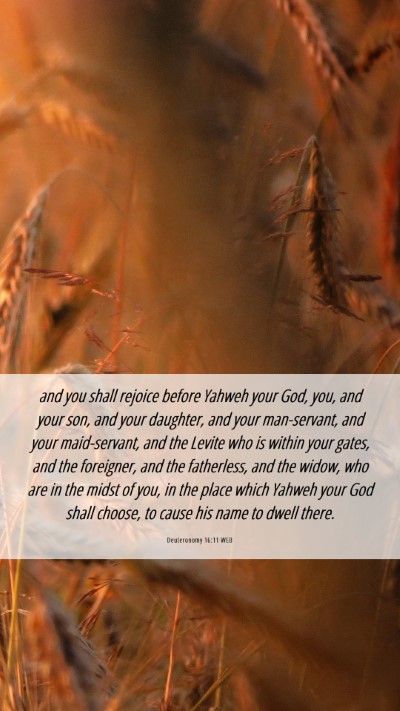 Picture 06 - Deuteronomy 16:11 WEB Mobile Phone Wallpaper - and you shall rejoice before Yahweh your God, - Mobile Bible Verse Wallpaper
