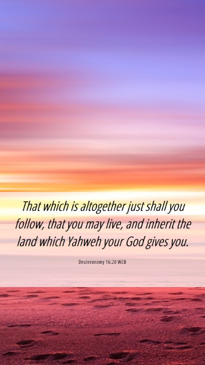 Picture 06 - Deuteronomy 16:20 WEB Mobile Phone Wallpaper - That which is altogether just shall you follow, - Mobile Bible Verse Wallpaper