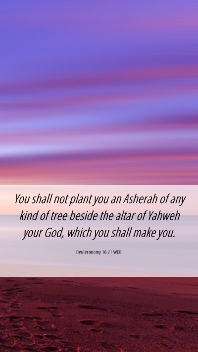 Picture 06 - Deuteronomy 16:21 WEB Mobile Phone Wallpaper - You shall not plant you an Asherah of any kind of - Mobile Bible Verse Wallpaper