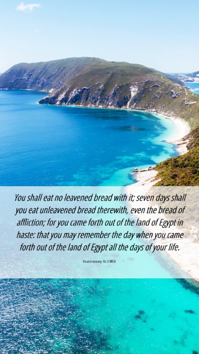 Picture 06 - Deuteronomy 16:3 WEB Mobile Phone Wallpaper - You shall eat no leavened bread with it; seven - Mobile Bible Verse Wallpaper