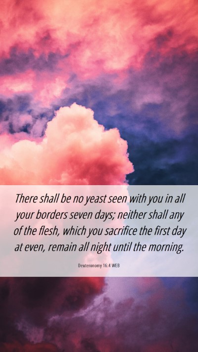 Picture 06 - Deuteronomy 16:4 WEB Mobile Phone Wallpaper - There shall be no yeast seen with you in all your - Mobile Bible Verse Wallpaper