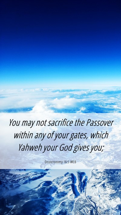 Picture 06 - Deuteronomy 16:5 WEB Mobile Phone Wallpaper - You may not sacrifice the Passover within any of - Mobile Bible Verse Wallpaper