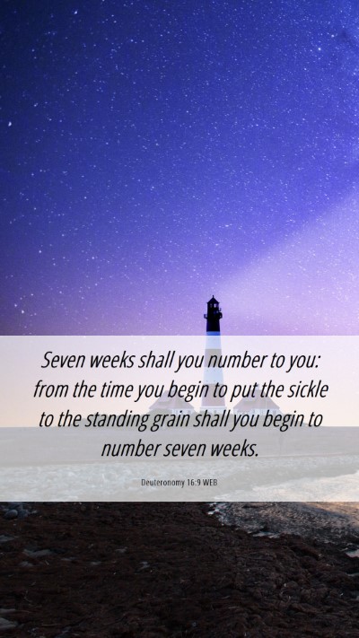 Picture 06 - Deuteronomy 16:9 WEB Mobile Phone Wallpaper - Seven weeks shall you number to you: from the - Mobile Bible Verse Wallpaper
