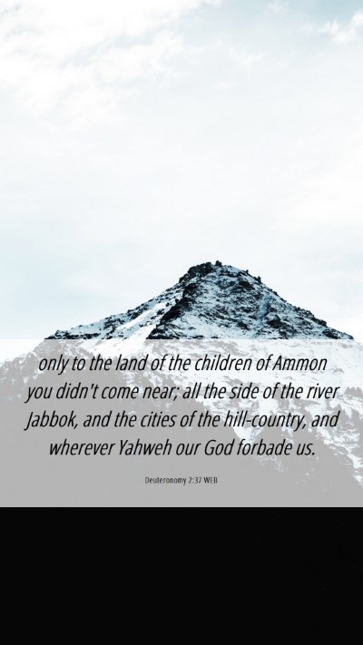Picture 06 - Deuteronomy 2:37 WEB Mobile Phone Wallpaper - only to the land of the children of Ammon you - Mobile Bible Verse Wallpaper